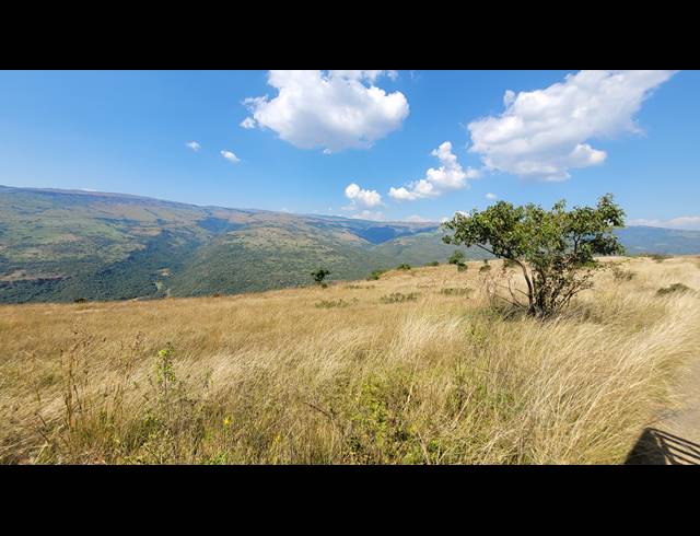227HA FARM FOR SALE IN NELSPRUIT RURAL